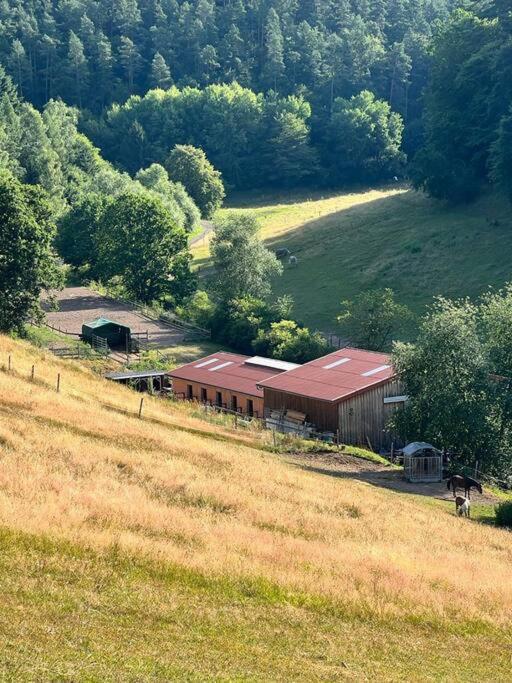 Ferienwohnung Beim Pferdehof Neuenstein  Eksteriør billede