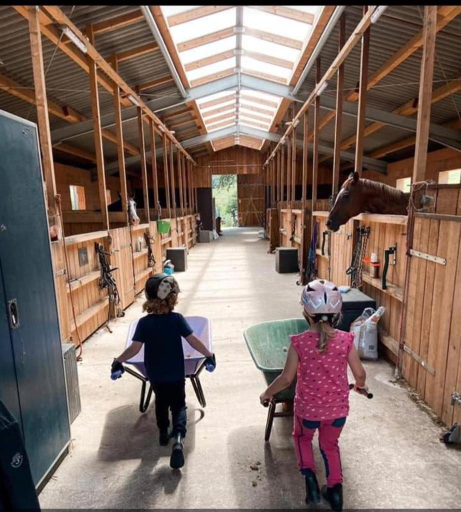 Ferienwohnung Beim Pferdehof Neuenstein  Eksteriør billede