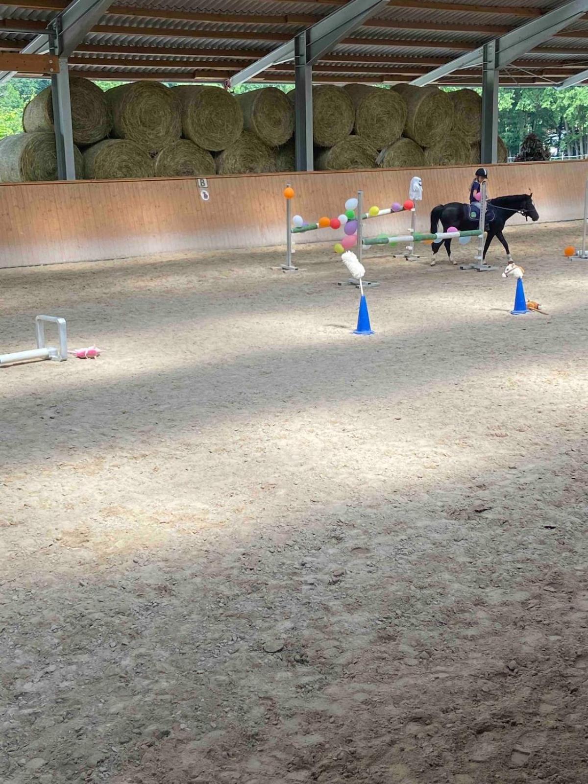 Ferienwohnung Beim Pferdehof Neuenstein  Eksteriør billede